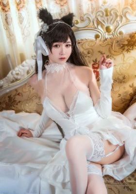黑暗圣经动画_国语版高清